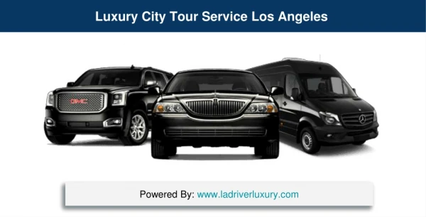 Luxury City Tour Service Los Angeles