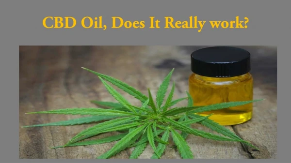 CBD Oil, Does It Really work?