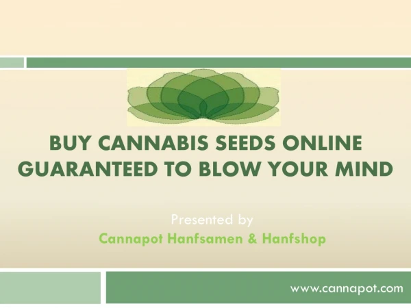 Buy Cannabis Seeds Online Guaranteed to Blow Your Mind