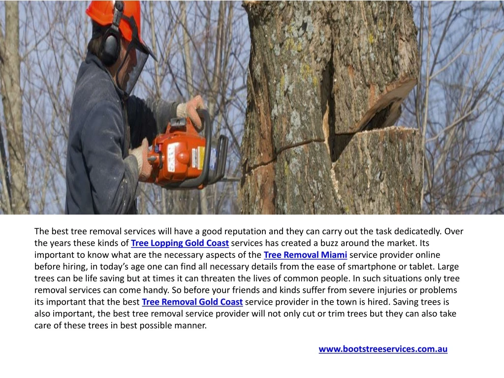 the best tree removal services will have a good