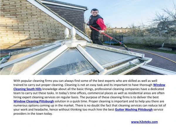 Roof Cleaning Services Pittsburgh & Window Cleaning South Hills