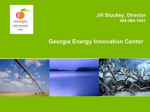 Georgia Energy Innovation Center