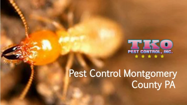 Pest Control Montgomery County PA