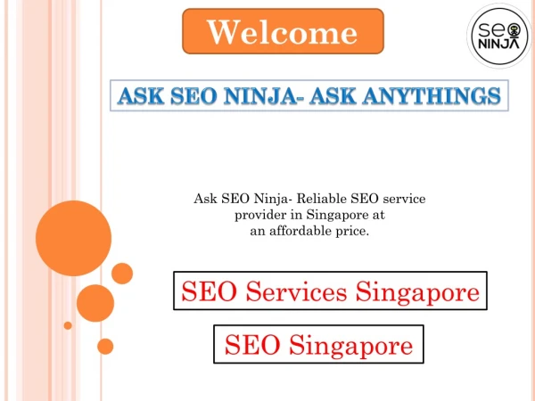 Get Most Excellent Company for SEO Services Singapore