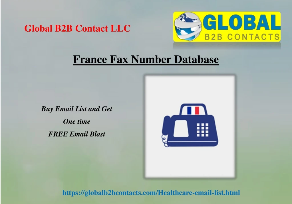 france fax number database