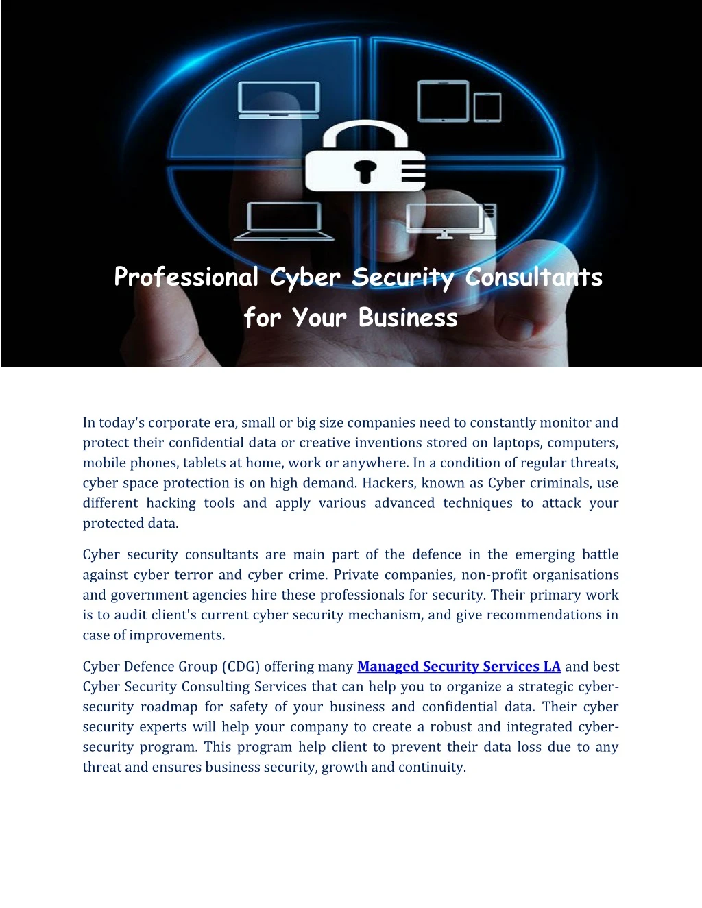 professional cyber security consultants for your