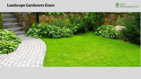 Landscape Gardeners Essex