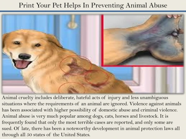 Print Your Pet Helps In Preventing Animal Abuse