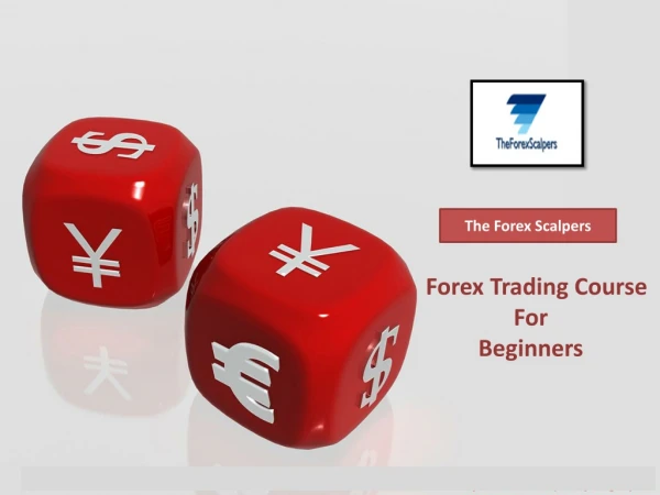 Best Forex Training Course - The Forex Scalpers