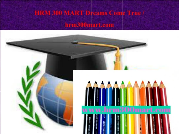 HRM 300 MART Dreams Come True / hrm300mart.com