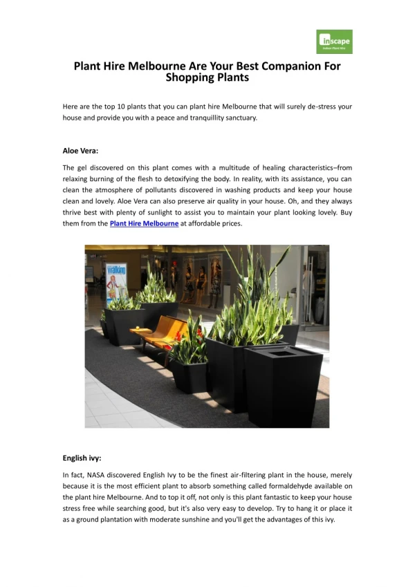 Plant Hire Melbourne Are Your Best Companion For Shopping Plants