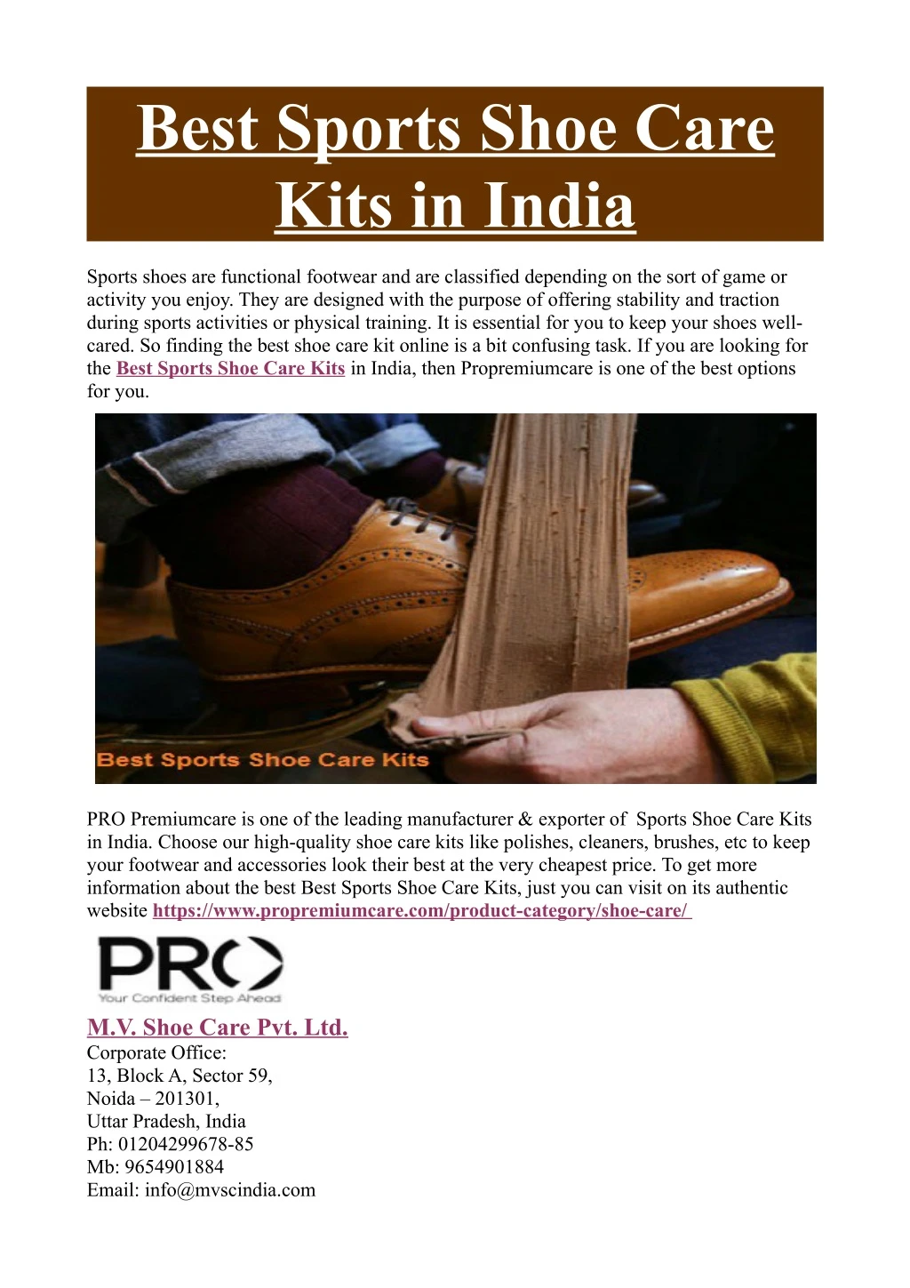 best sports shoe care kits in india