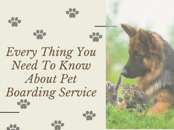Everything You Need To Know About Pet Boarding Service