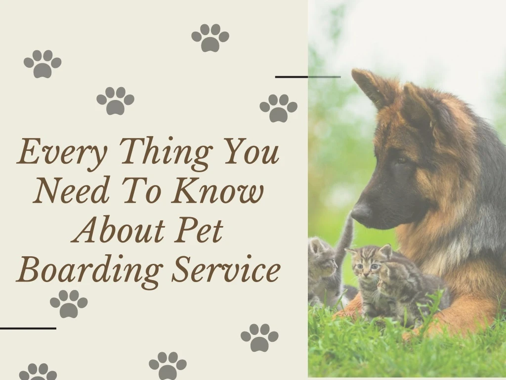 every thing you need to know about pet boarding