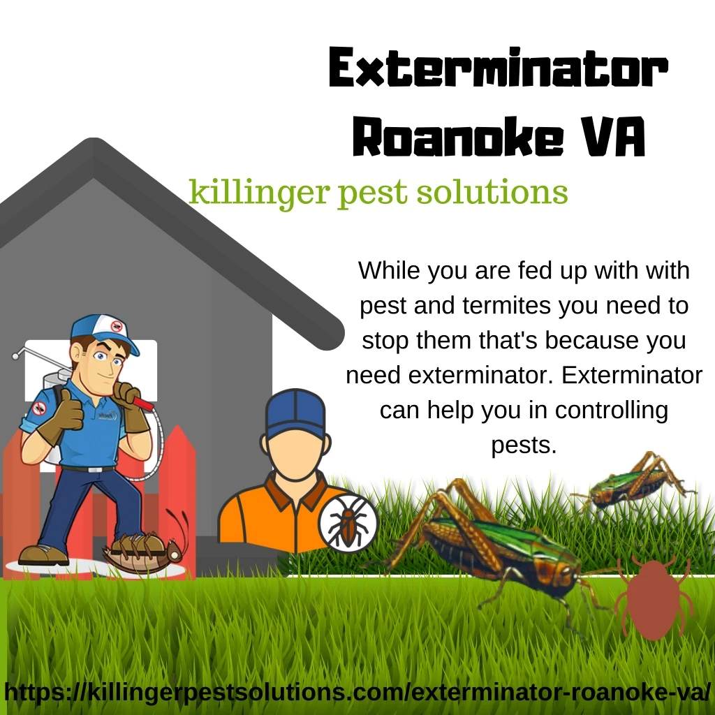 exterminator roanoke va killinger pest solutions