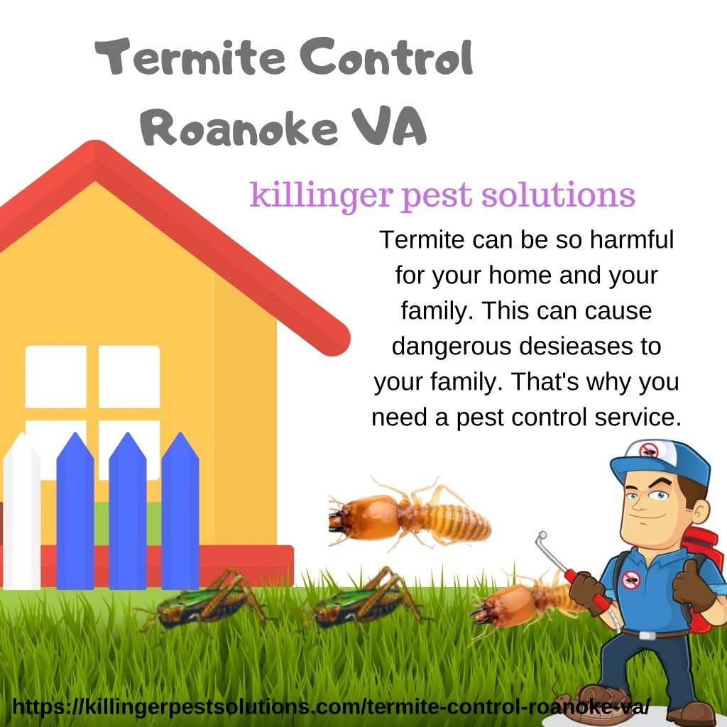 termite control roanoke va killinger pest