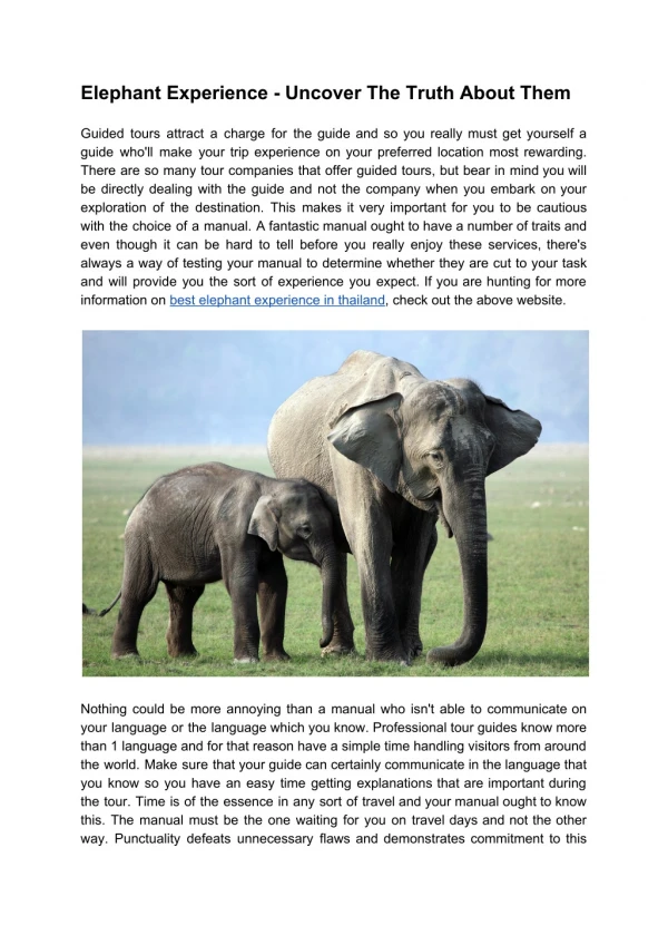 Elephant Experience - Uncover The Truth About Them