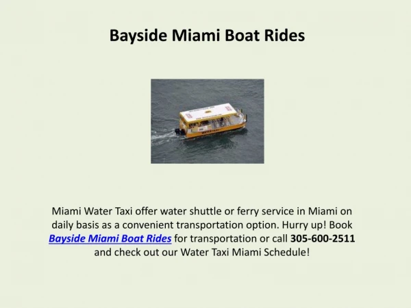 Looking for Bayside Miami Boat Rides?
