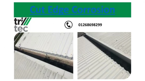 Cut Edge Corrosion | Commercial Roofing Contractors