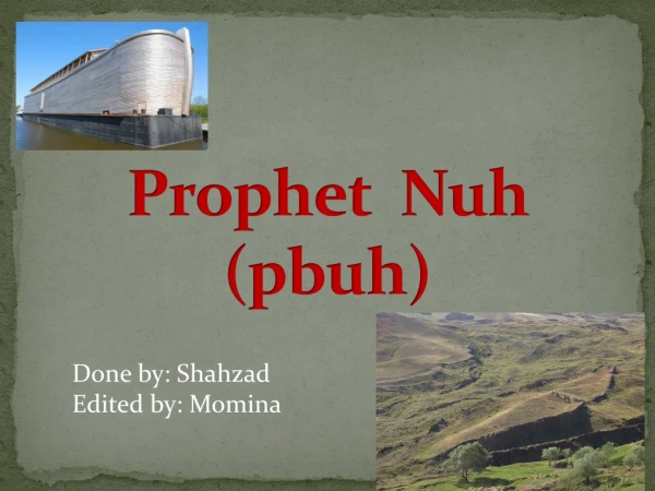 Prophet Nuh ( pbuh )