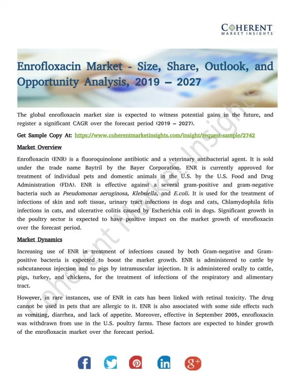Enrofloxacin Market - Size, Share, Outlook, and Opportunity Analysis, 2019 – 2027