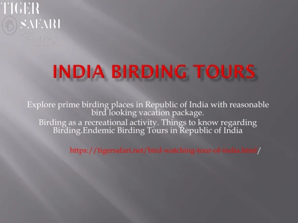 India birding tours- Tiger safari