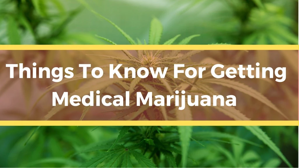 things to know for getting medical marijuana