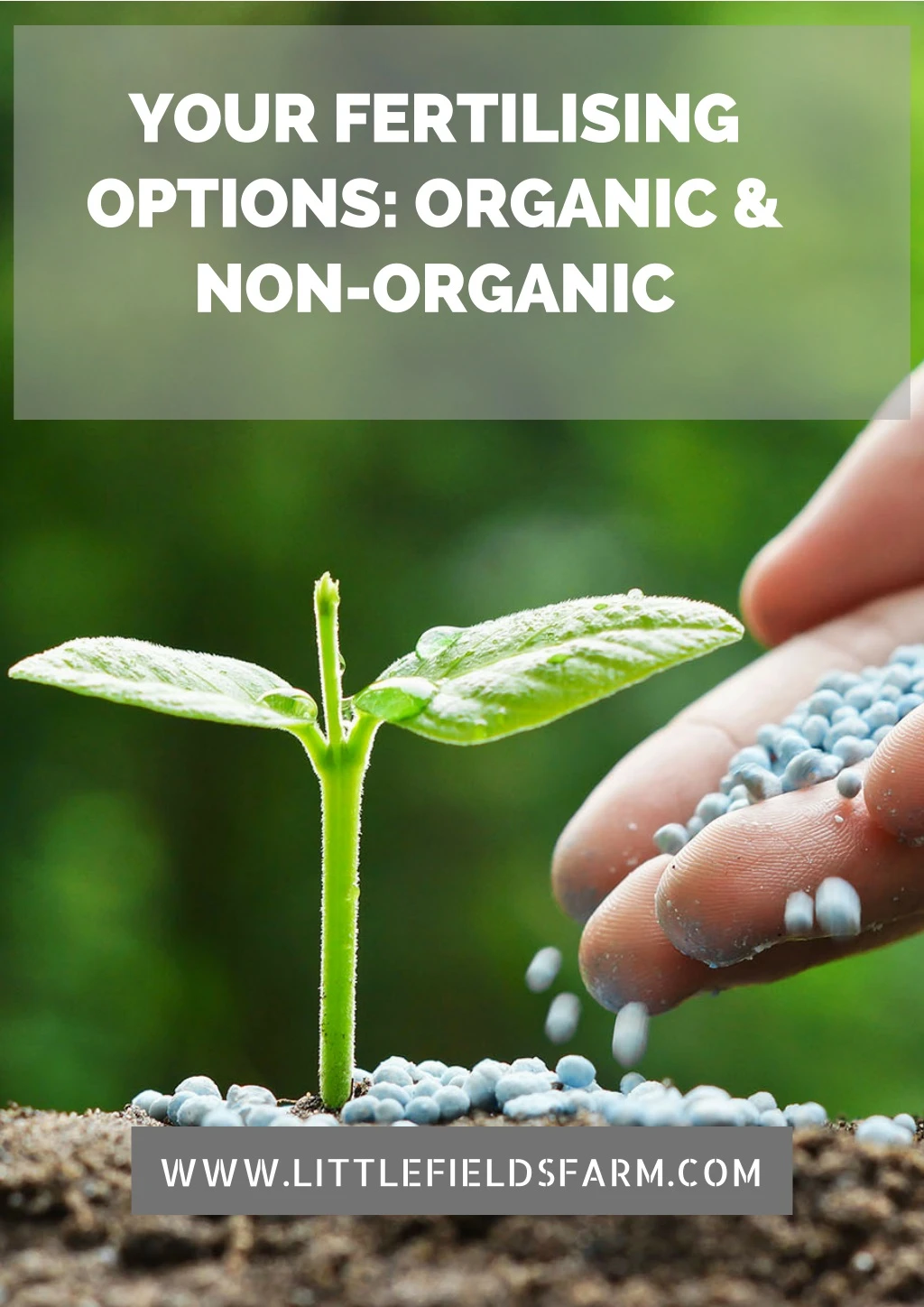 your fertilising options organic non organic