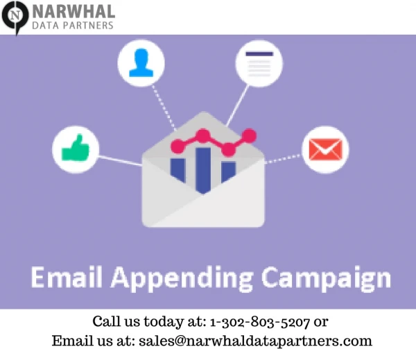 Email Appending Services | Narwhal Data Partners IN USA