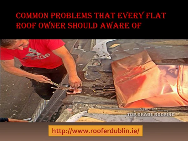 Common Problems That Every Flat Roof Owner Should Aware Of