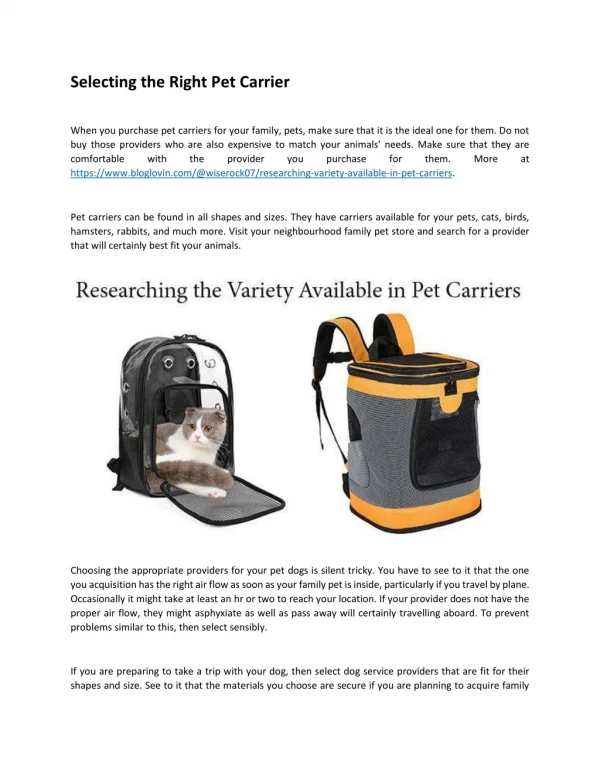 Selecting the Right Pet Carrier