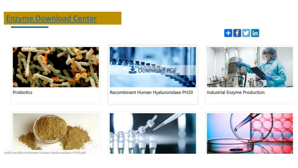 enzyme download center