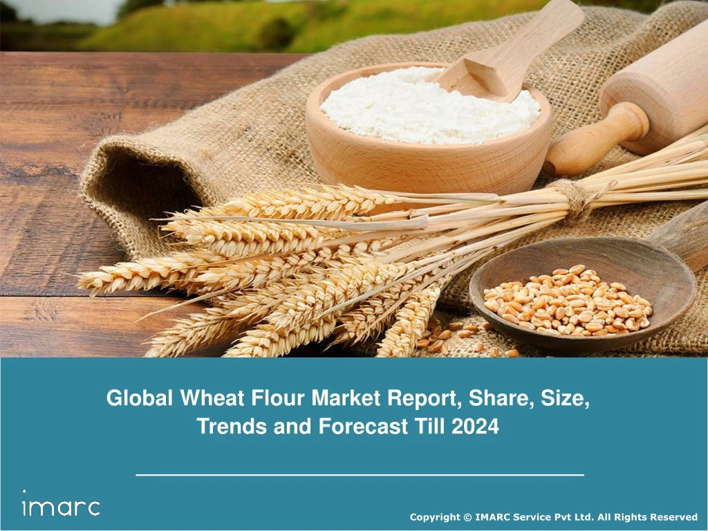 global wheat flour market report share size