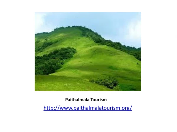 Paithalmala resort | Paithalmala jungle walking