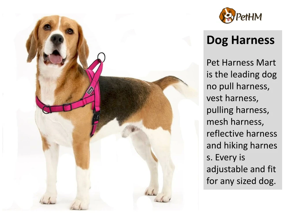 dog harness pet harness mart is the leading