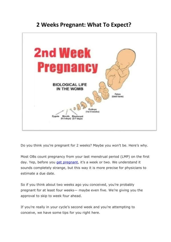 2 Weeks Pregnant: What To Expect?