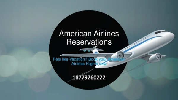 Feel like Vacation Book your American Airlines Flights now