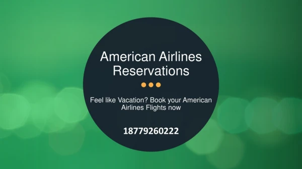 Feel like Vacation Book your American Airlines Flights now