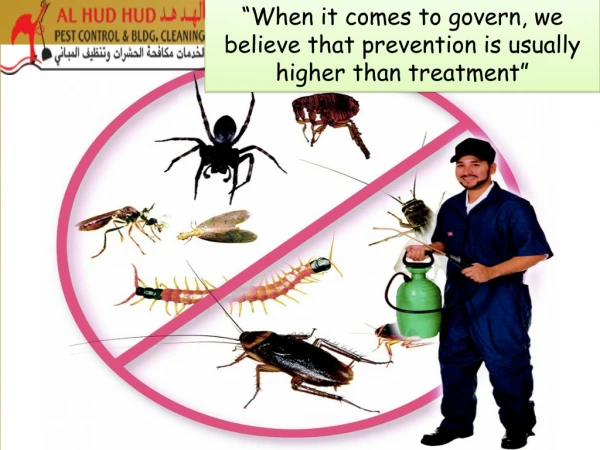 Cleaning Services In Dubai | Cockroach Control In Dubai