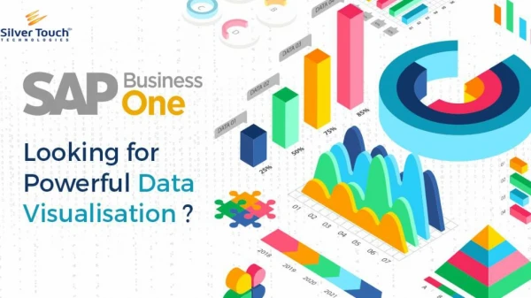 Powerful Data Visualisation with SAP Business One Analytics and Reporting Tools