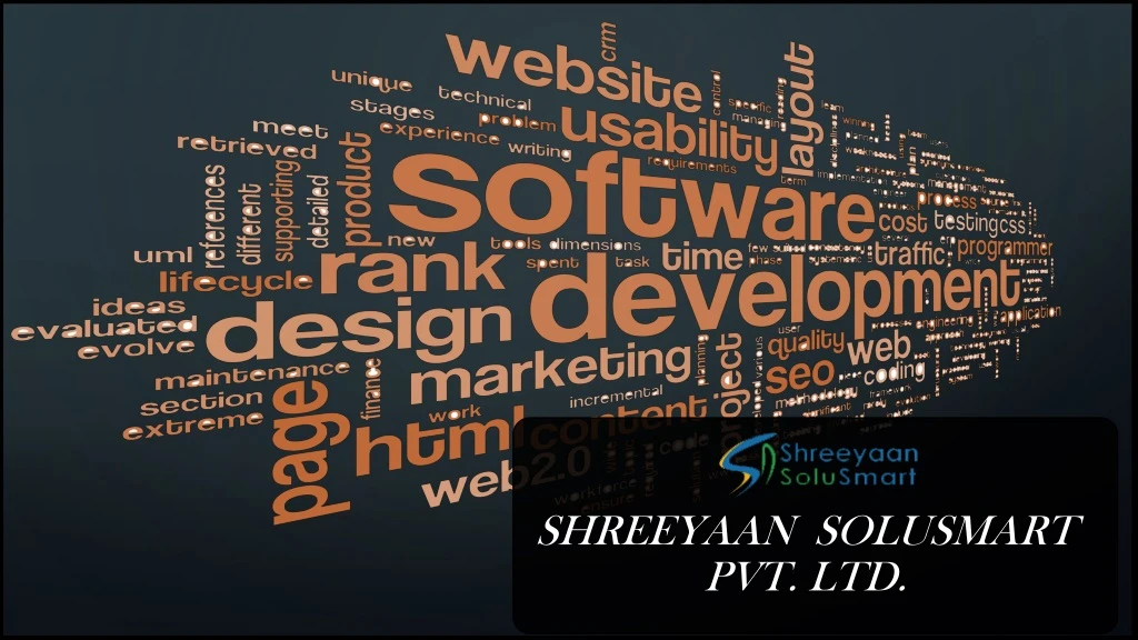 shreeyaan solusmart pvt ltd