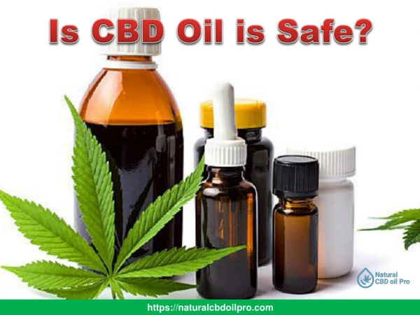 Is CBD Oil is Safe for Use?