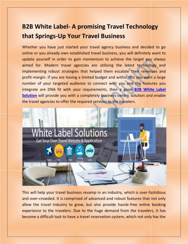 B2B White Label- A promising travel technology that springs-up your travel business