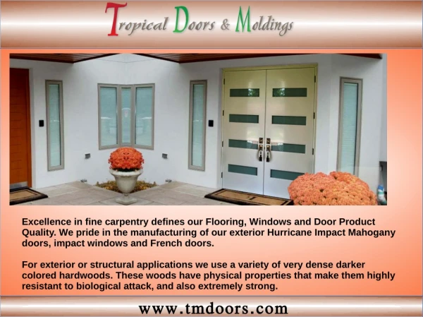 Hurricane impact doors Miami