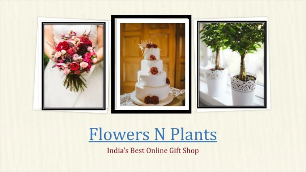 Send A Perfect Gift To Your Special One At Very Affordable Price Any Where Across India