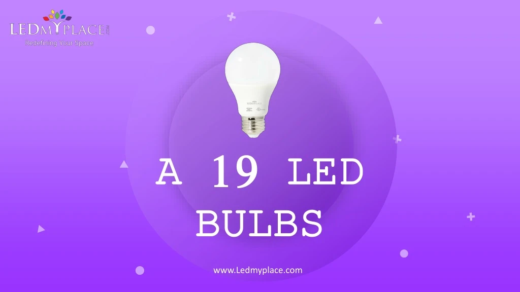 a 19 led bulbs