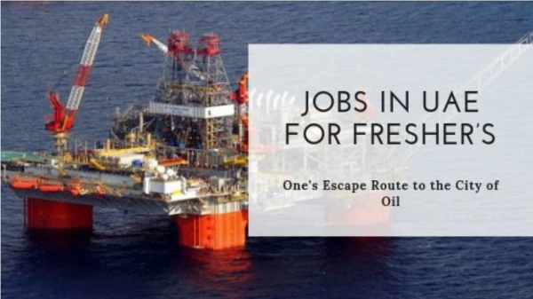 Jobs in UAE for Fresher’s - One’s Escape Route to the City of Oil