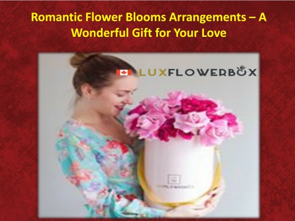 Romantic Flower Blooms Arrangements – A Wonderful Gift for Your Love