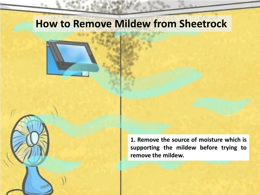 how to remove mildew from sheetrock