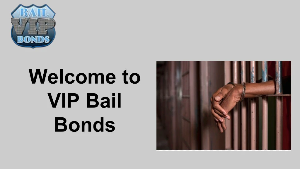 welcome to vip bail bonds